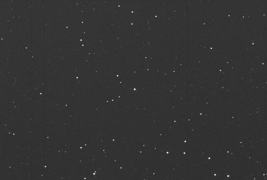 Sky image of variable star U-PER (U PERSEI) on the night of JD2452903.