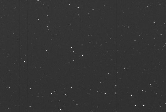 Sky image of variable star U-PER (U PERSEI) on the night of JD2452910.