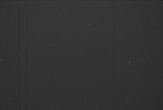 Sky image of variable star X-UMA (X URSAE MAJORIS) on the night of JD2453045.