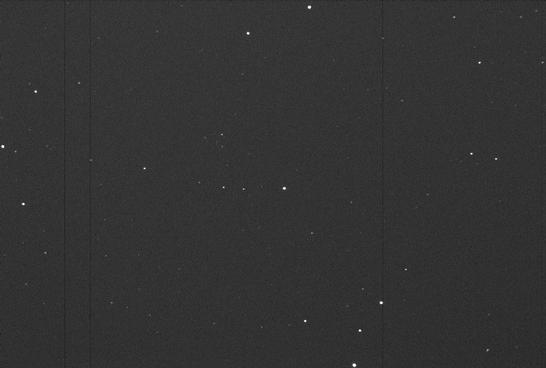 Sky image of variable star X-LEP (X LEPORIS) on the night of JD2453057.