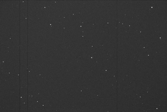 Sky image of variable star T-GEM (T GEMINORUM) on the night of JD2453093.