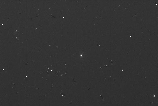 Sky image of variable star T-CEP (T CEPHEI) on the night of JD2453237.