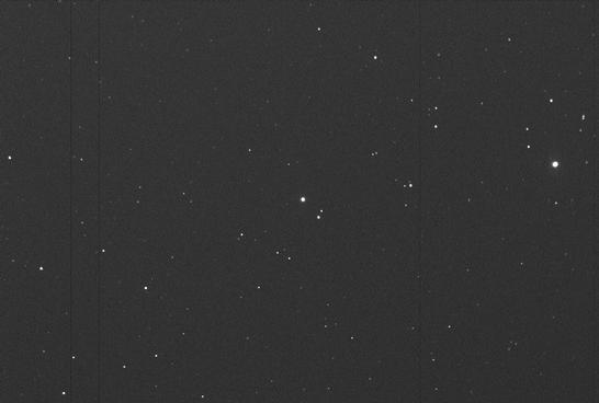 Sky image of variable star T-HER (T HERCULIS) on the night of JD2453237.