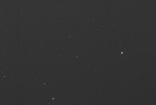 Sky image of variable star WZ-DRA (WZ DRACONIS) on the night of JD2453237.