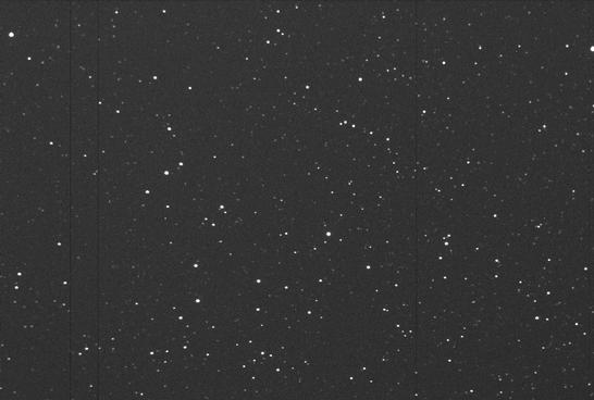 Sky image of variable star V1251-CYG (V1251 CYGNI) on the night of JD2453262.
