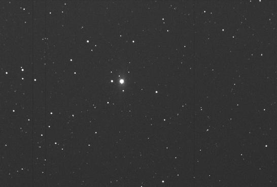 Sky image of variable star W-DEL (W DELPHINI) on the night of JD2453262.
